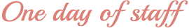 One day of staff